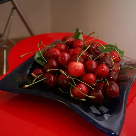 Beljan Πανσιόν